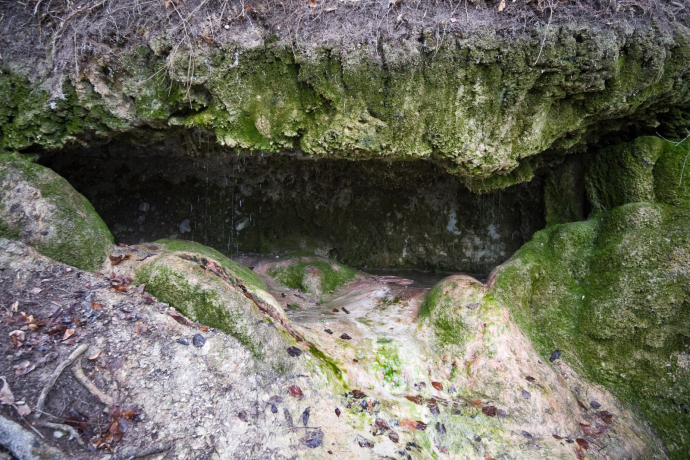 Tüfels Chuchi (ctd_a702d213-a688-440c-a877-7fe6643e3b01_image)