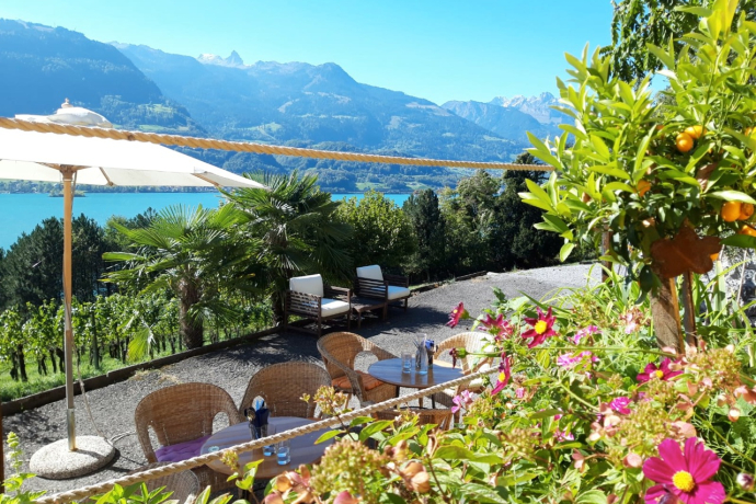 Grotto "KALIFORNI" CasaNova Wine Pure (ctd_bb4f3414-3cc1-4dc0-84a5-06e30128de7d_image) Grotto "KALIFORNI" CasaNova Wine Pure (ctd_bb4f3414-3cc1-4dc0-84a5-06e30128de7d_image)