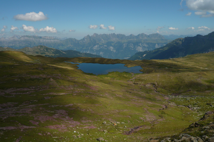 Maadseeli (ctd_c38f957e-caaa-4975-95cc-0f1c76480cf6_image) Maadseeli (ctd_c38f957e-caaa-4975-95cc-0f1c76480cf6_image)