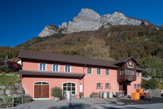 Weingut Gonzen (ctd_e3d5aee9-37e9-458c-8b7f-8a70d1e35761_image) Weingut Gonzen (ctd_e3d5aee9-37e9-458c-8b7f-8a70d1e35761_image)