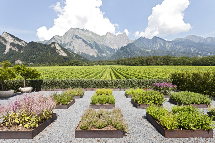 Weingut Davaz (ctd_eaf47ea7-98ff-4f97-822e-279b73857dde_image) Weingut Davaz (ctd_eaf47ea7-98ff-4f97-822e-279b73857dde_image)